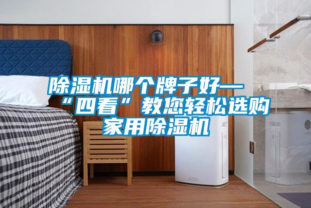 除濕機(jī)哪個(gè)牌子好—“四看”教您輕松選購(gòu)家用除濕機(jī)