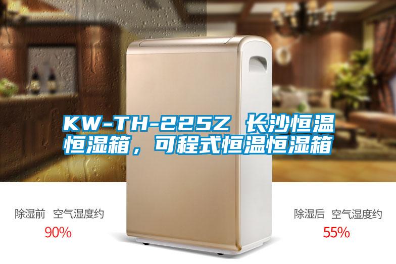 KW-TH-225Z 長沙恒溫恒濕箱，可程式恒溫恒濕箱