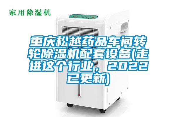重慶松越藥品車(chē)間轉(zhuǎn)輪除濕機(jī)配套設(shè)備(走進(jìn)這個(gè)行業(yè)，2022已更新)