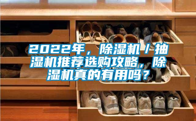 2022年，除濕機／抽濕機推薦選購攻略，除濕機真的有用嗎？