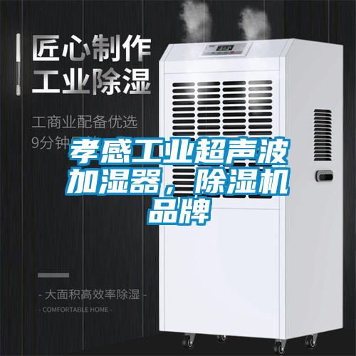 孝感工業(yè)超聲波加濕器，除濕機品牌