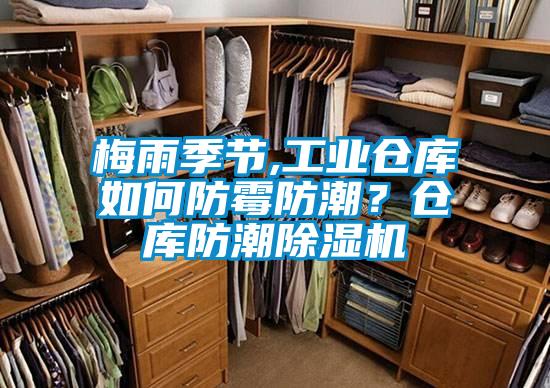 梅雨季節(jié),工業(yè)倉庫如何防霉防潮？倉庫防潮除濕機(jī)