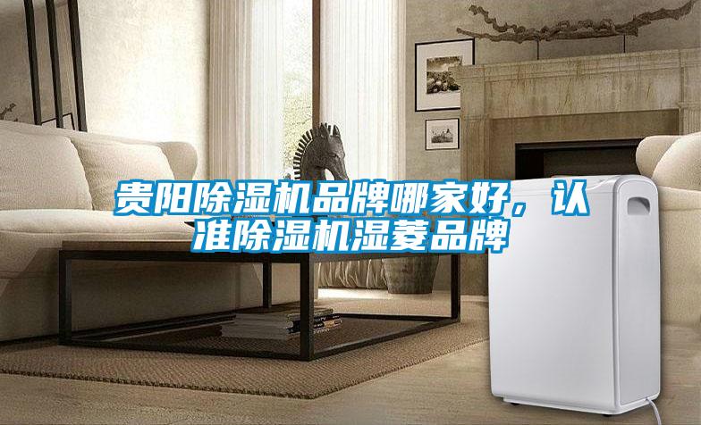 貴陽除濕機(jī)品牌哪家好，認(rèn)準(zhǔn)除濕機(jī)濕菱品牌