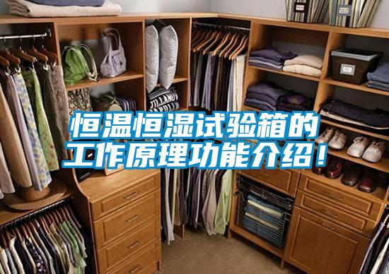 恒溫恒濕試驗箱的工作原理功能介紹！