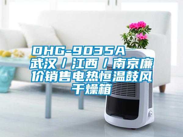 DHG-9035A 武漢/江西/南京廉價(jià)銷售電熱恒溫鼓風(fēng)干燥箱