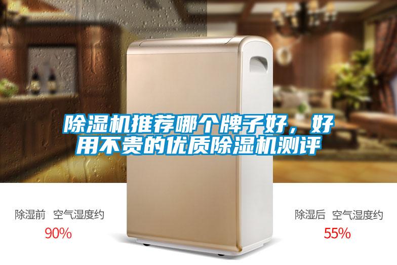 除濕機推薦哪個牌子好，好用不貴的優質除濕機測評