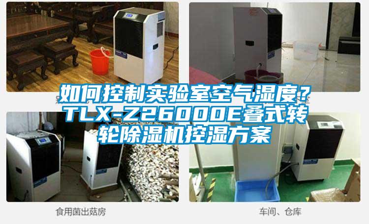 如何控制實驗室空氣濕度？TLX-Z26000E疊式轉輪除濕機控濕方案