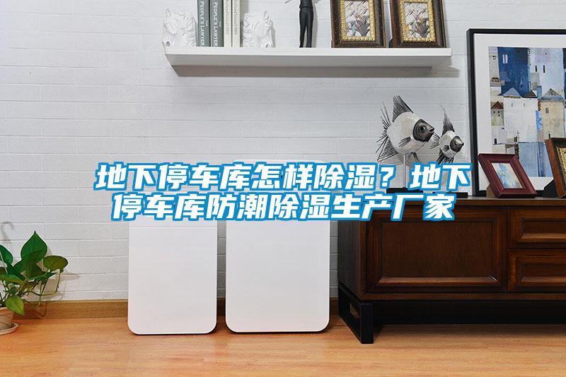地下停車庫怎樣除濕?地下停車庫防潮除濕生產(chǎn)廠家