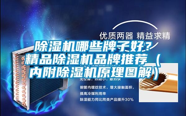 除濕機哪些牌子好？精品除濕機品牌推薦（內附除濕機原理圖解）
