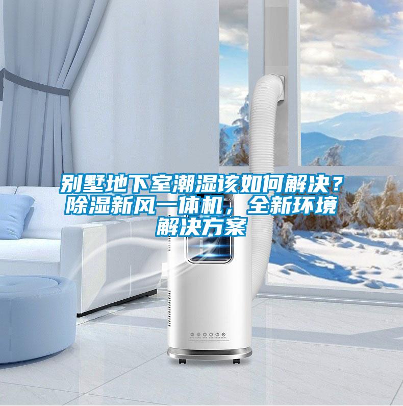 別墅地下室潮濕該如何解決？除濕新風(fēng)一體機(jī)，全新環(huán)境解決方案