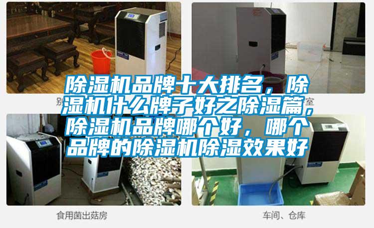 除濕機品牌十大排名，除濕機什么牌子好之除濕篇，除濕機品牌哪個好，哪個品牌的除濕機除濕效果好