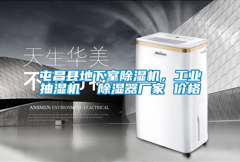 屯昌縣地下室除濕機(jī)，工業(yè)抽濕機(jī)  除濕器廠家 價(jià)格