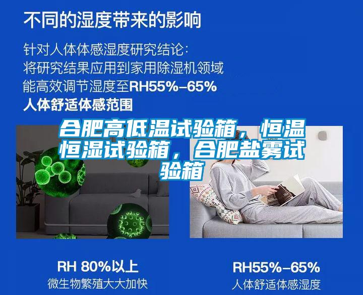 合肥高低溫試驗箱，恒溫恒濕試驗箱，合肥鹽霧試驗箱