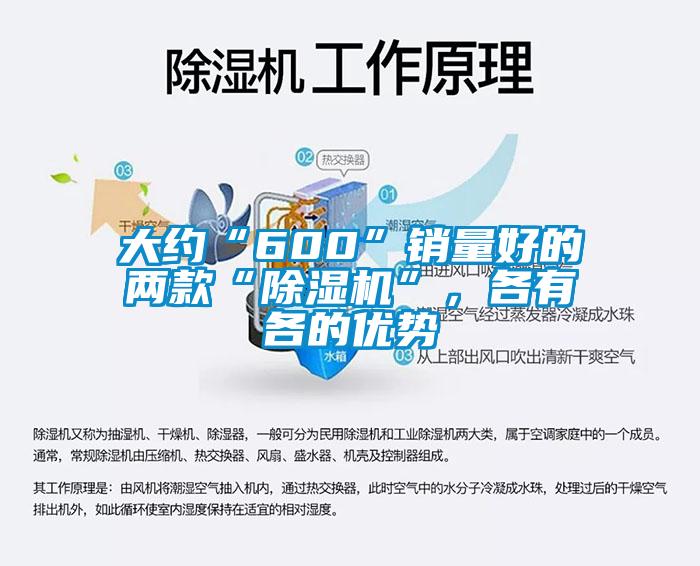 大約“600”銷量好的兩款“除濕機”，各有各的優勢