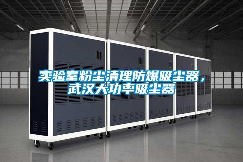 實驗室粉塵清理防爆吸塵器，武漢大功率吸塵器
