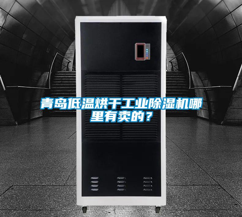 青島低溫烘干工業(yè)除濕機(jī)哪里有賣的？