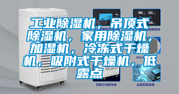 工業除濕機，吊頂式除濕機，家用除濕機，加濕機，冷凍式干燥機，吸附式干燥機，低露點