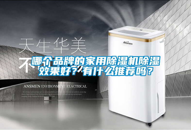 哪個品牌的家用除濕機除濕效果好？有什么推薦嗎？