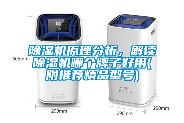 除濕機原理分析，解讀除濕機哪個牌子好用(附推薦精品型號)