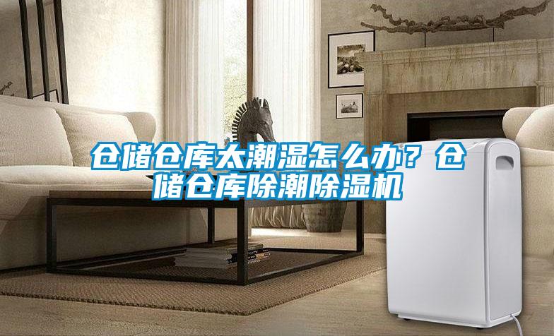 倉儲(chǔ)倉庫太潮濕怎么辦？倉儲(chǔ)倉庫除潮除濕機(jī)