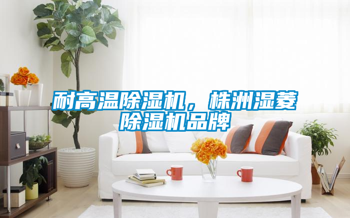 耐高溫除濕機，株洲濕菱除濕機品牌