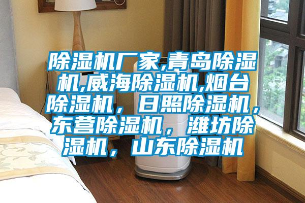 除濕機廠家,青島除濕機,威海除濕機,煙臺除濕機，日照除濕機，東營除濕機，濰坊除濕機，山東除濕機