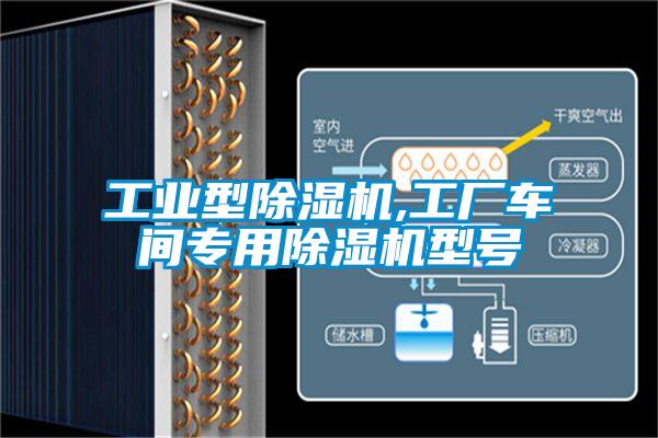 工業(yè)型除濕機(jī),工廠車間專用除濕機(jī)型號(hào)