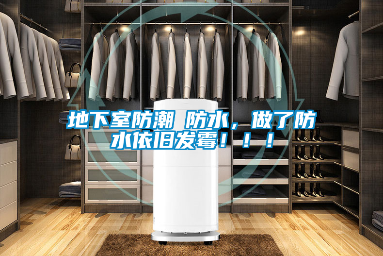 地下室防潮≠防水，做了防水依舊發霉?。。?/></p>
						    <p style=