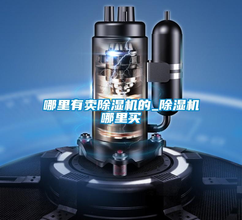 哪里有賣(mài)除濕機(jī)的_除濕機(jī)哪里買(mǎi)