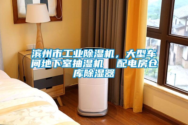 濱州市工業(yè)除濕機，大型車間地下室抽濕機  配電房倉庫除濕器