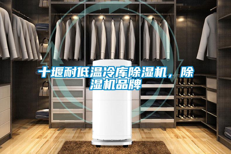 十堰耐低溫冷庫除濕機，除濕機品牌
