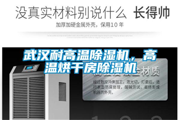 武漢耐高溫除濕機，高溫烘干房除濕機