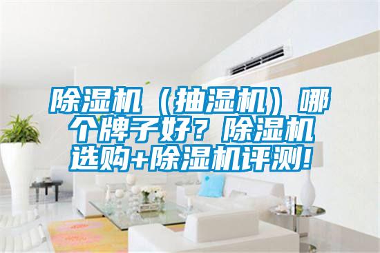 除濕機(jī)（抽濕機(jī)）哪個(gè)牌子好？除濕機(jī)選購(gòu)+除濕機(jī)評(píng)測(cè)!
