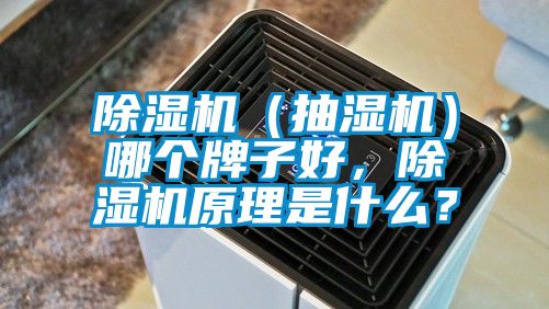 除濕機(jī)（抽濕機(jī)）哪個(gè)牌子好，除濕機(jī)原理是什么？
