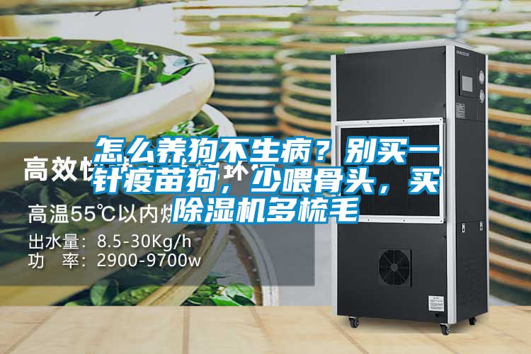 怎么養狗不生病？別買一針疫苗狗，少喂骨頭，買除濕機多梳毛