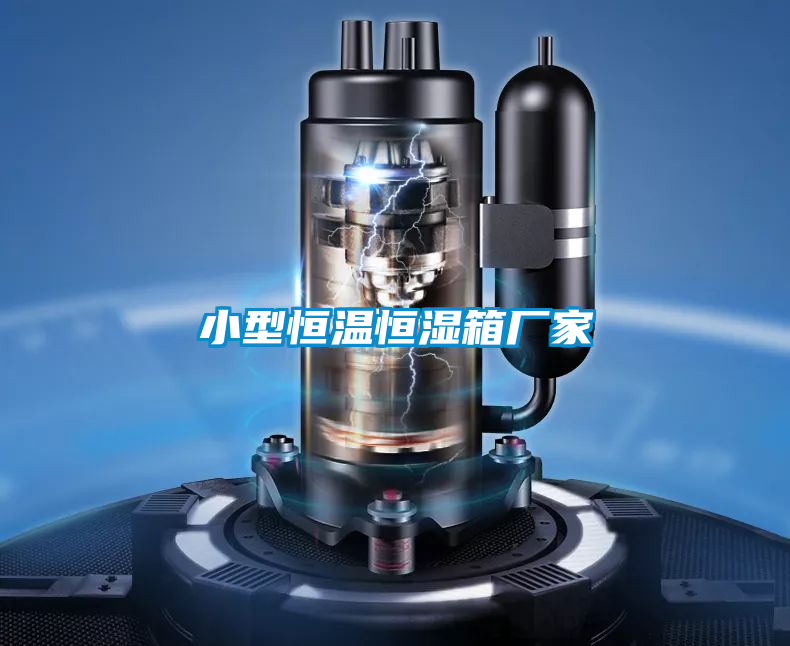 小型恒溫恒濕箱廠(chǎng)家