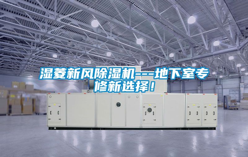 濕菱新風除濕機---地下室專修新選擇！