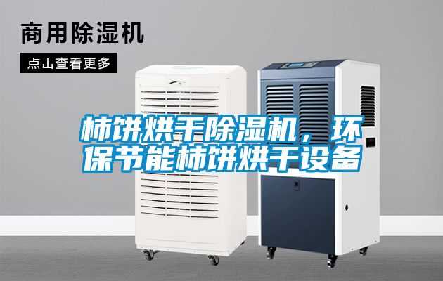 柿餅烘干除濕機，環保節能柿餅烘干設備