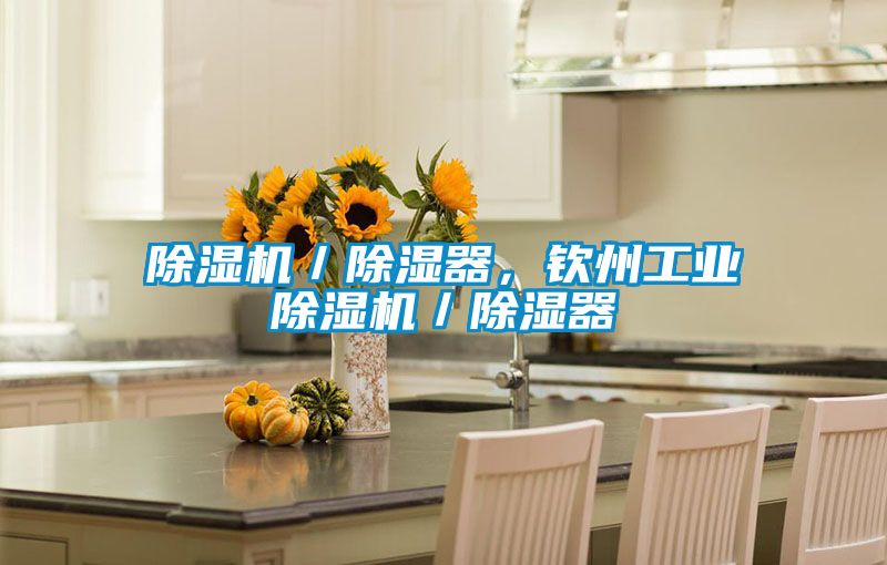 除濕機／除濕器，欽州工業除濕機／除濕器