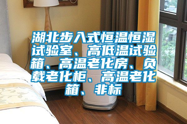 湖北步入式恒溫恒濕試驗(yàn)室、高低溫試驗(yàn)箱、高溫老化房、負(fù)載老化柜、高溫老化箱、非標(biāo)