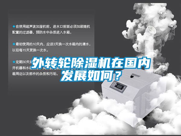 外轉輪除濕機在國內發展如何？