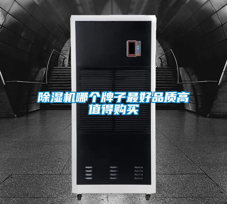 除濕機(jī)哪個(gè)牌子最好品質(zhì)高值得購(gòu)買(mǎi)