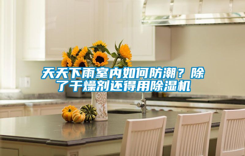 天天下雨室內如何防潮？除了干燥劑還得用除濕機