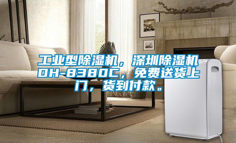 工業型除濕機，深圳除濕機DH-8380C，免費送貨上門，貨到付款。