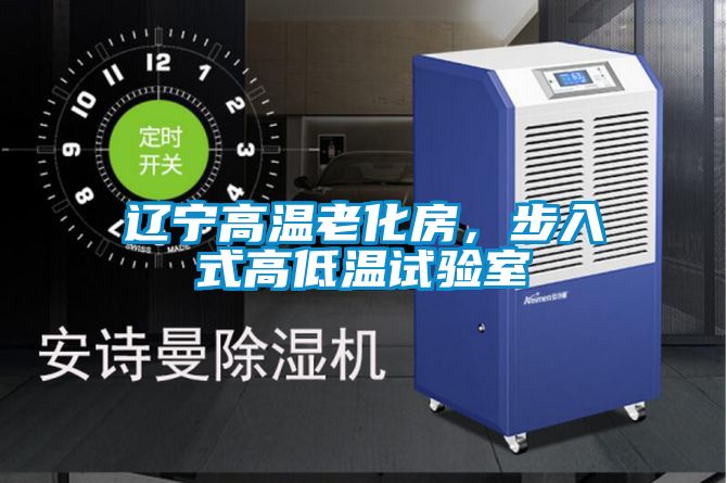 遼寧高溫老化房，步入式高低溫試驗室