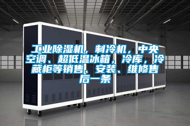 工業(yè)除濕機(jī)，制冷機(jī)，中央空調(diào)、超低溫冰箱，冷庫，冷藏柜等銷售、安裝、維修售后一條