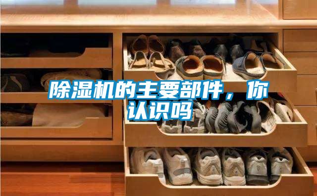 除濕機(jī)的主要部件，你認(rèn)識(shí)嗎
