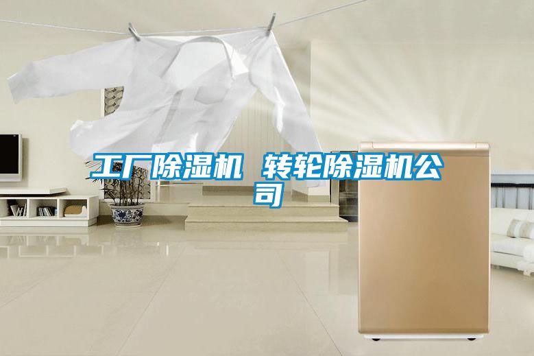 工廠除濕機 轉(zhuǎn)輪除濕機公司