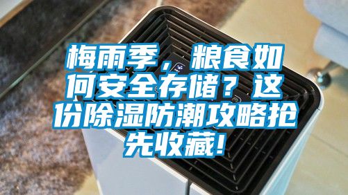 梅雨季，糧食如何安全存儲(chǔ)？這份除濕防潮攻略搶先收藏!
