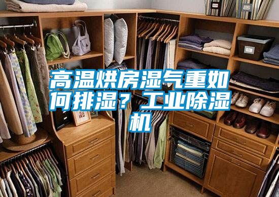 高溫烘房濕氣重如何排濕?工業除濕機